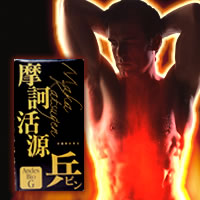 摩訶活源兵(まかかつげんぴん) ※売価厳守!