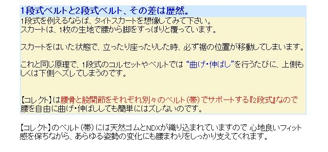 ���Ջ����T�|�[�^�[���Ƀx���g�R���N�g