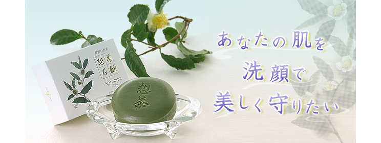 �É����ō���������̐��Ό� �z���Ό�