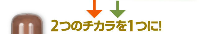 �L���ԁi�ق����񂩁j��������