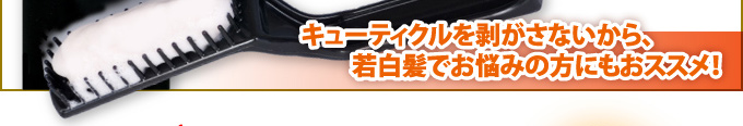 �L���ԁi�ق����񂩁j��������