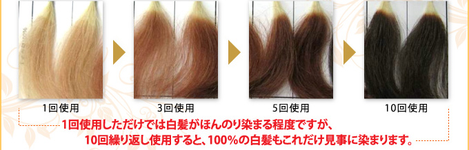 �L���ԁi�ق����񂩁j��������