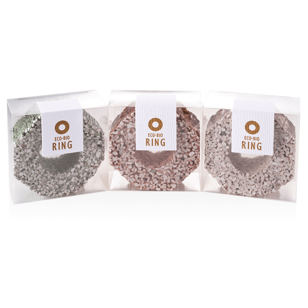 �ӥå��Х������������Х������