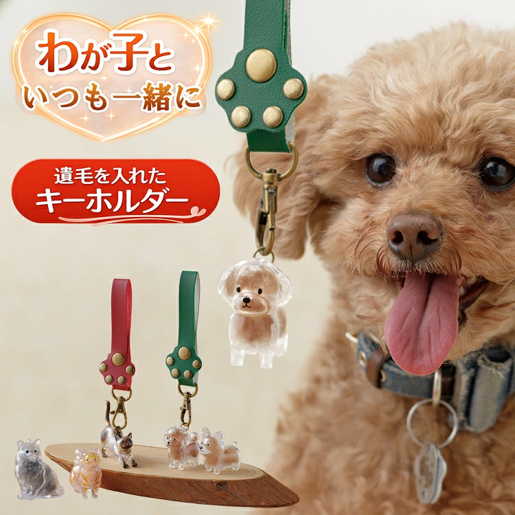 ���Фˤ���͡��郎�ҤΥ����ۥ����